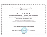 Сертификат Удачина И.А.